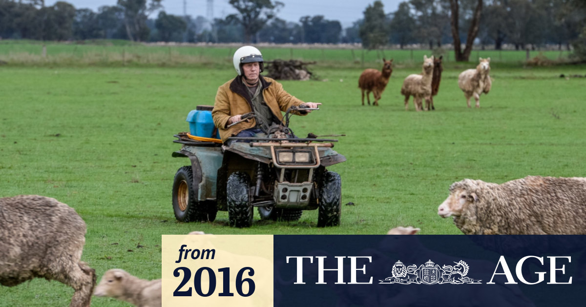 Surge in Victorian farm deaths worries safety authorities